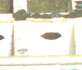 Can anyone see what this is? - This is just for fun. Taken a photo of an item, cropped it, and here it is. Try to guess :)
