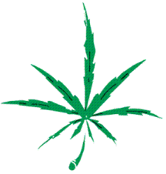 marijuana - marijuana should al da drugs b made legal?