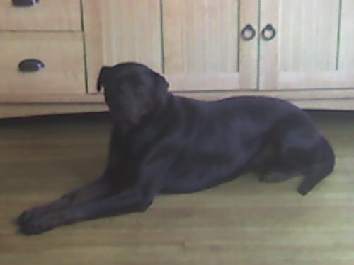 Charlotte - Always tring to look her best.