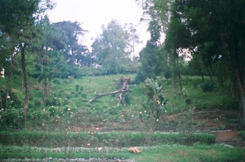 kodaikanal a tourist place in india - this is a photo of kodaikanal
