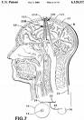 mind - mind