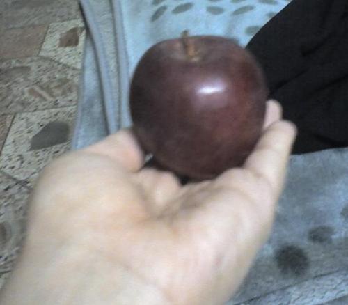 my fav - oohh this was the sweetest yummiest apple i ever ate...