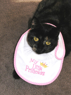 Sweetie Pie - A little tortie we adopted. She is so sweet, that we just have to call her that.  She just has so much love.  Why would anyone every want to give her up for adoption?