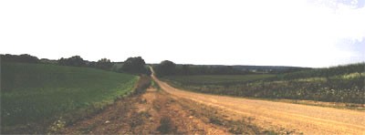 A road not taken - A road not taken