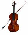 hope i can play a violin - violin