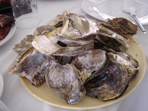oyster - oyster