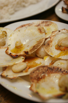 scallops - scallops