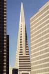 San Francisco photos  - These are some of the photos taken during my visit to San Francisco. I had a great time att San Francisco. The view of the bridge is really great. i feel like of the stars that I've watched before that was shot in San Francisco. i really love it here.