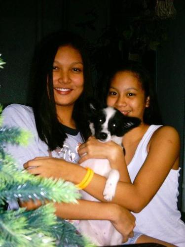 my pet - my pet