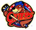 Erie Otters Hockey - logo