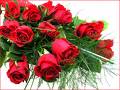 DO U LIKE "ROSE" ? - ROSE IS THE SYMBOL OF LOVE,FRIENDSHIP & GOOD REALATIONSHIP.