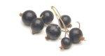 blackcurrants - blackcurrants