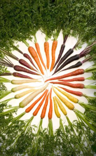 Carrots in many colors - Carrots used to come in many colors.