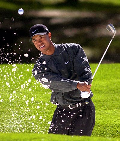 tiger woods - tiger woods