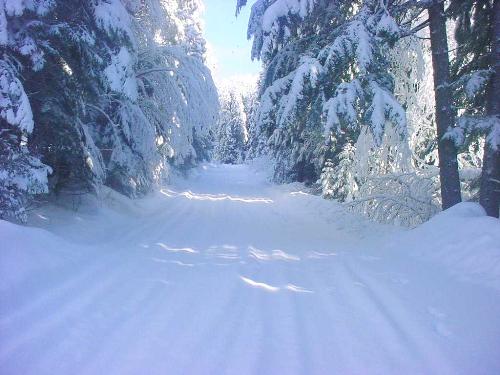 Road in winter - Road white with winter snow drifts