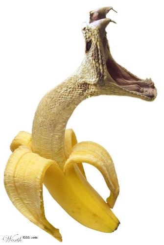 Banana For You - Eating banana is not for monkey alone. It is a healthy food for men. 