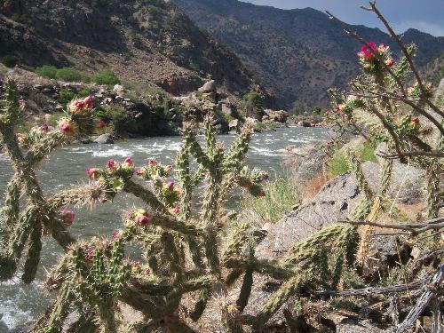 Colorado River Outside of Canon City - Colorado River Outside of Canon City, Colorado