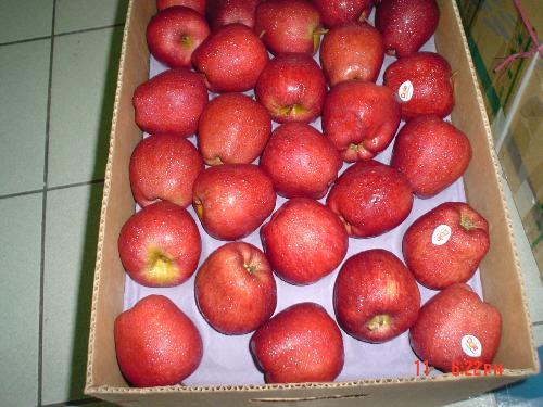 Red Apples - Red apples..