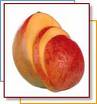 mango - mango