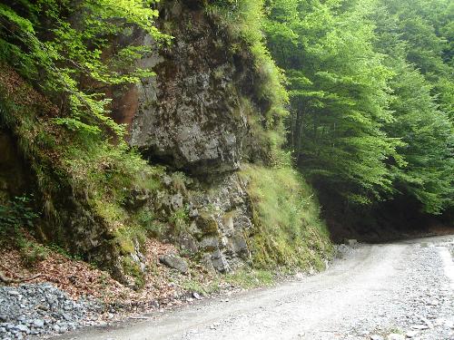 apuseni1 - visit Romania