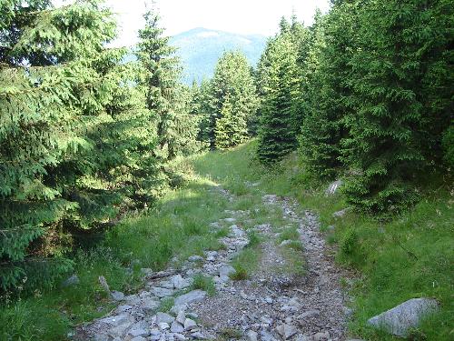 Apuseni2 - visit Romania