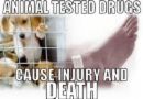 Stop Animal Testing - it should be abolished! i&#039;ts cruel and inhumane