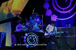 blink 182 in concert - blink in concert