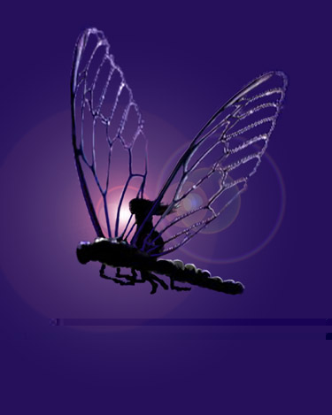 My favorite insect - I love dragonflys! Do you?