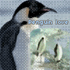 Penguin Love - This was another one from myspace you might enjoy