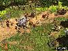 age of empires - this is just a screenshot from the game.