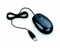 Computer Mouse - Computer Mouse