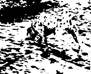 What do you see black dots or a dog? - What do you see black dots or a dog?