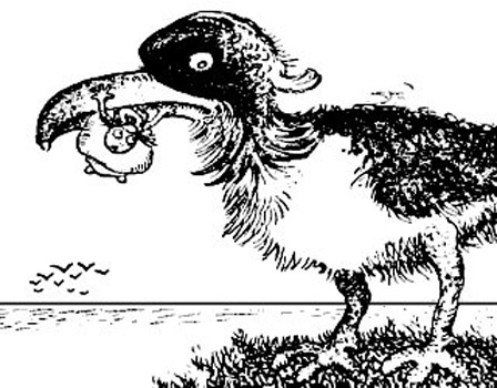 Man attacked by a big bird or a shark? Look at the - Man attacked by a big bird or a shark? Look at the image upside down