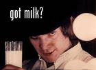 Got Milk? - Got Milk?