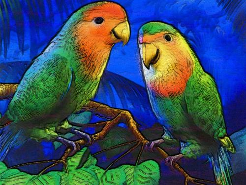 parrots - They're not great talkers like the African Grey or Timneh, but can learn a reasonable vocabulary, depending on the individual bird and the owner's willingness to spend time training.   Loudness The Poicephalus aren't noted screamers or otherwise loud or noisy. Most of their sounds are low key whistles, chirps, squeaks, and assorted chattering. Cockatiels are often more noisy (and more obnoxiously so) than Senegals, Meyers, or Jardines.   Pricing
