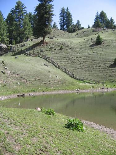 Fairy Meadows - Pakistan - This photo is taken by july 2006.