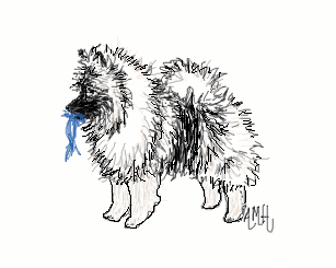 Dog - fluffy dog