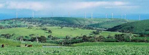 Wind Farm - First Wind Farm in South Australia