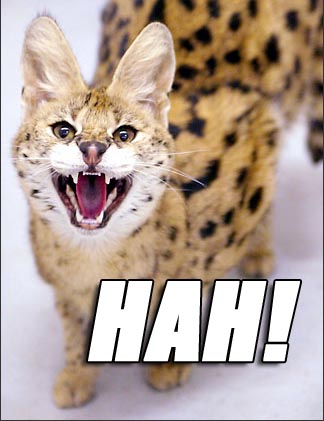 hah - hah