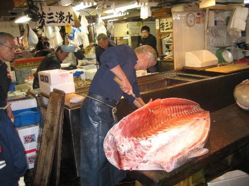 Fish market-Tokyo - The tuna is huge!!!