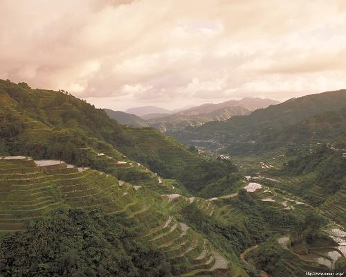 Banaue  - Banaue Rice Terraces