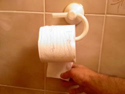 toilet roll - a picture of a toilet roll