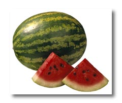 watermelon - watermelon