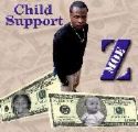 child support - child support