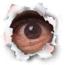 the Eyes - the Eyes
