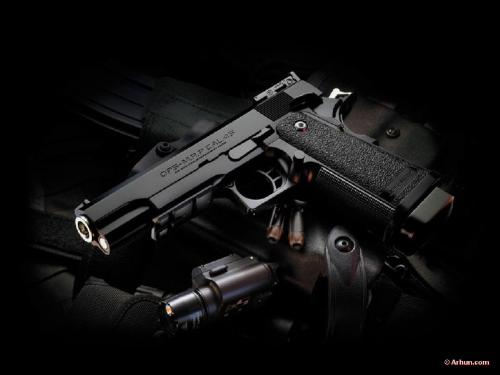 gun - These guns are so beautiful but dangerous......!!!