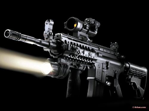 guns - These guns are so beautiful but dangerous......!!!