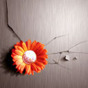 heavy flower - flower