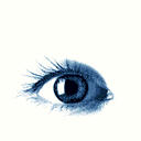 eye - eye