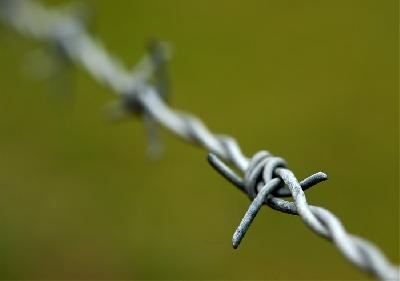 wire - Amazing picture of a wire.. front sdide clear whereas the background is blurred. nice